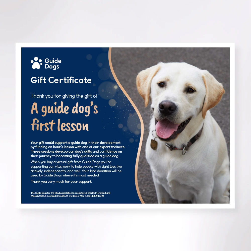 The gift of a guide dog's first lesson