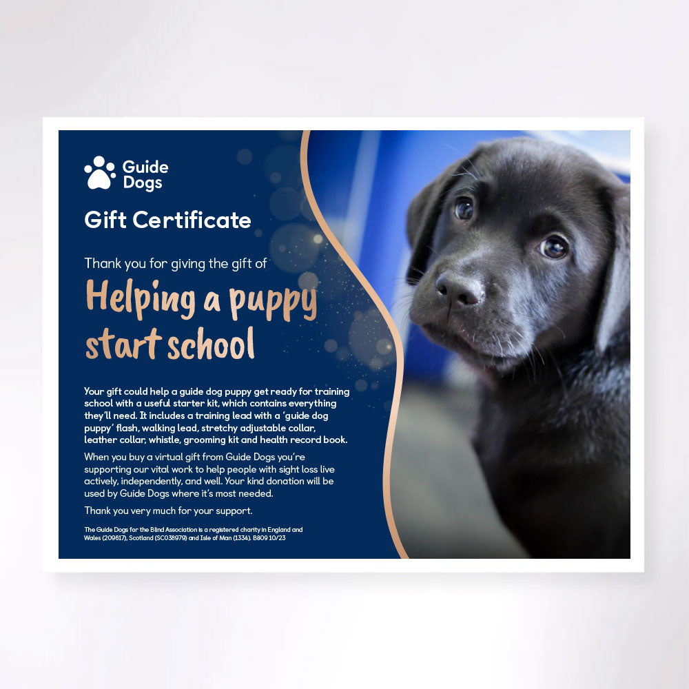 The gift of helping a puppy start school