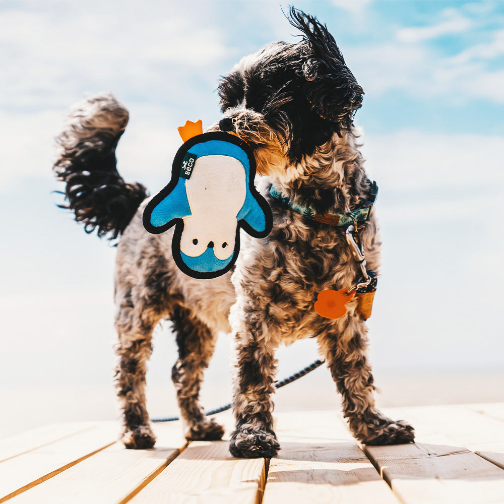 Recycled penguin dog toy
