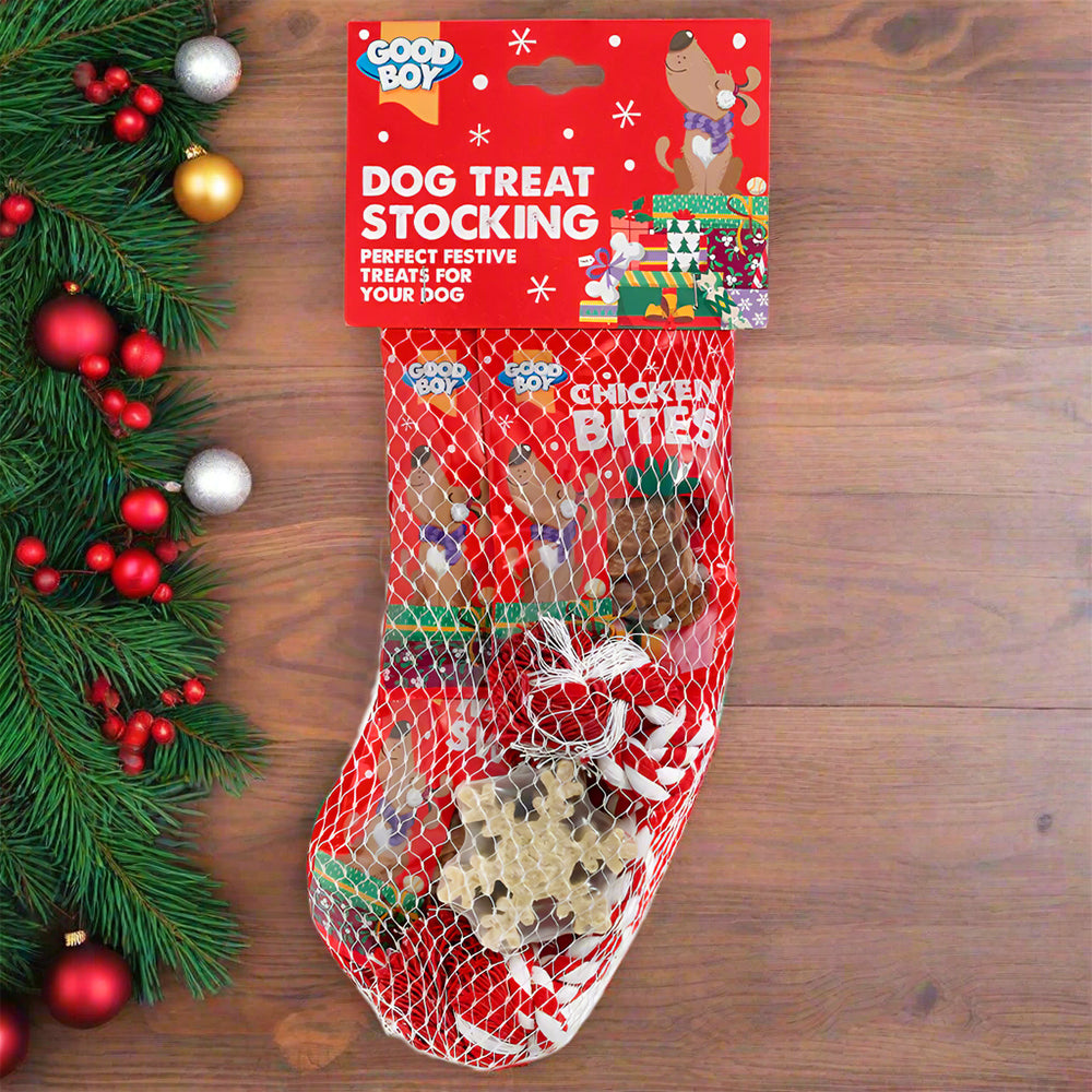 A stocking full of dog treats and a rope toy. The stocking is on a wooden floor with pine branches, berries and baubles on the side.