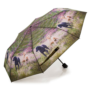 An open umbrella featuring a Black Labrador and Yellow Labrador photographic design, which is repeated around the canopy. The dogs are on a field with purple flowers.