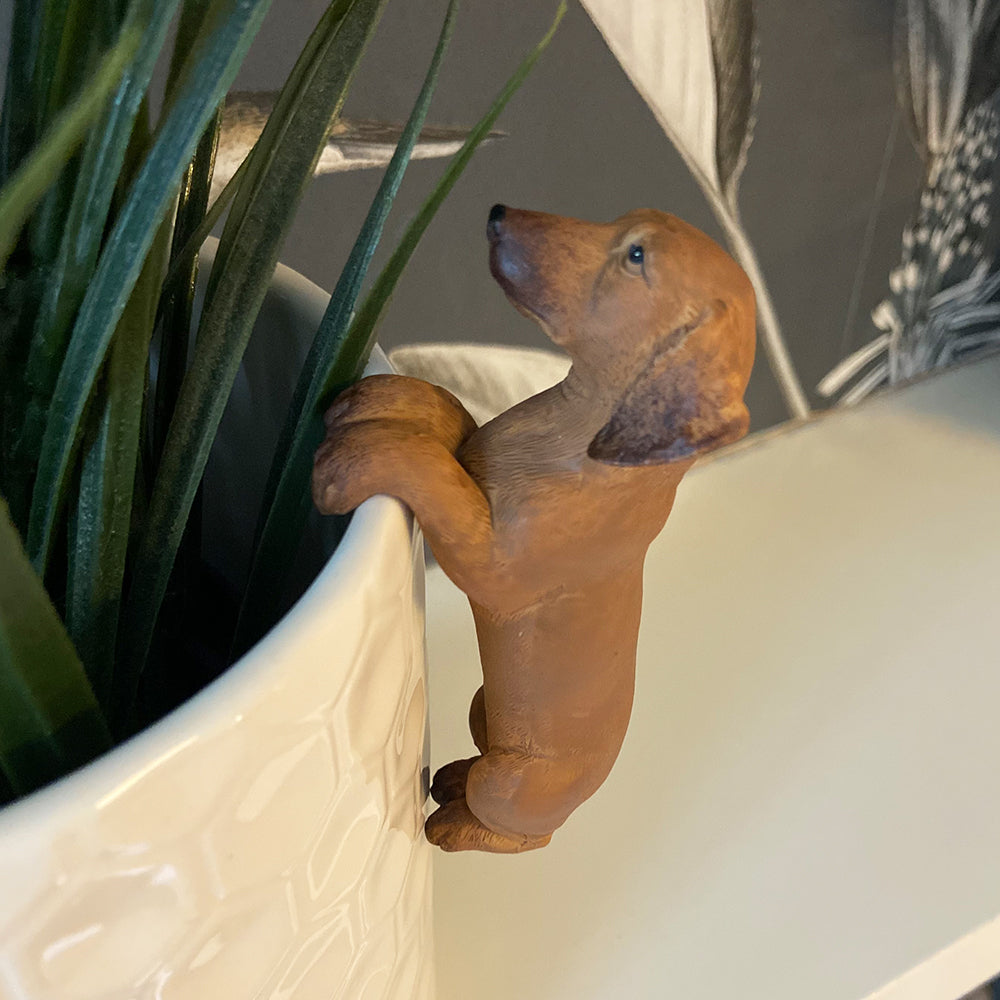A close up of a sausage dog shaped pot holder on the edge of a plant pot.