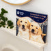 An advent calendar featuring two Yellow Labrador puppies. The calendar has 24 windows and square shaped chocolate are below as an example. The calendar rests on a mantelpiece.