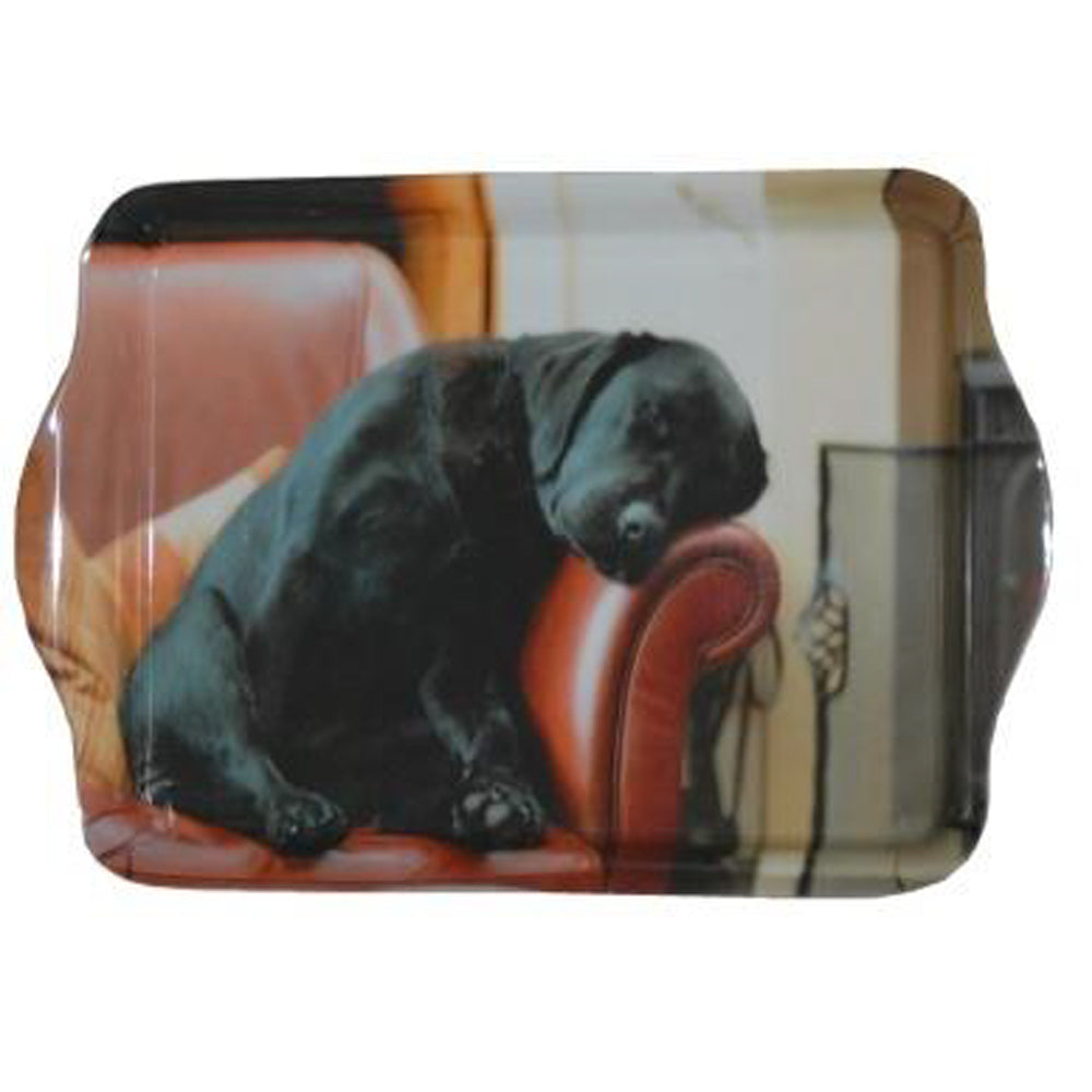 Trinket tray in sleeping Labrador design