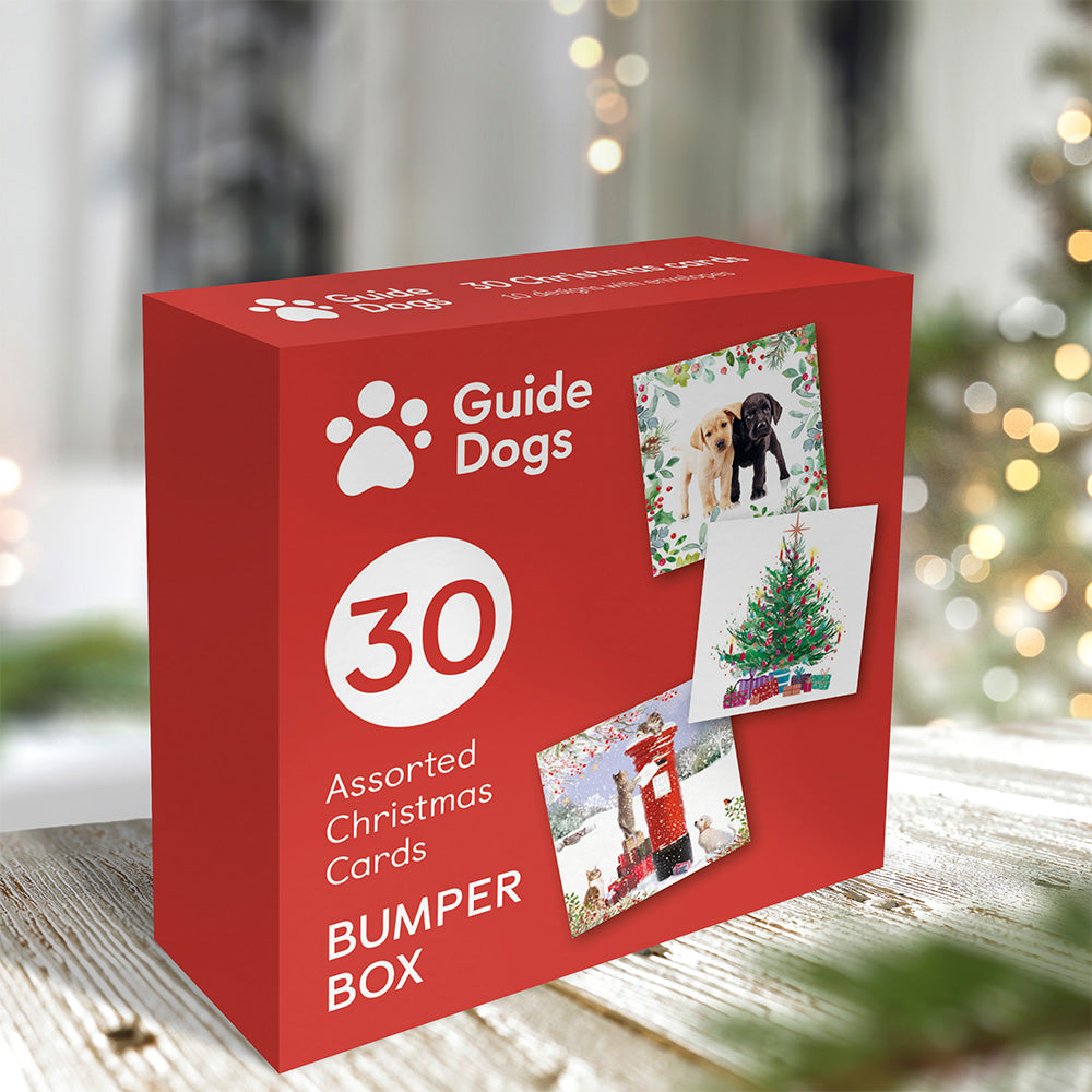 Christmas eve box for dogs best sale