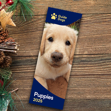 A Golden Retriever puppy features on the cover on the Guide Dogs Puppy 2025 Slim Calendar, which is on a wooden Christmassy background.