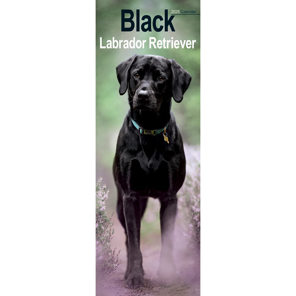 The front cover of the calendar featuring a Black Labrador stood amongst some purple flowers