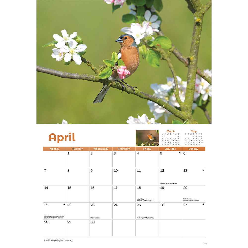 April's page in the calendar featuring a photograph of chaffinch. 