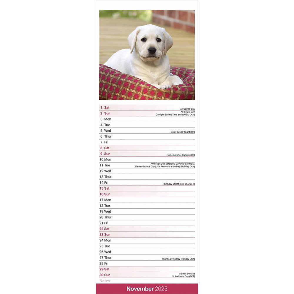 Yellow Labrador 2025 slim calendar