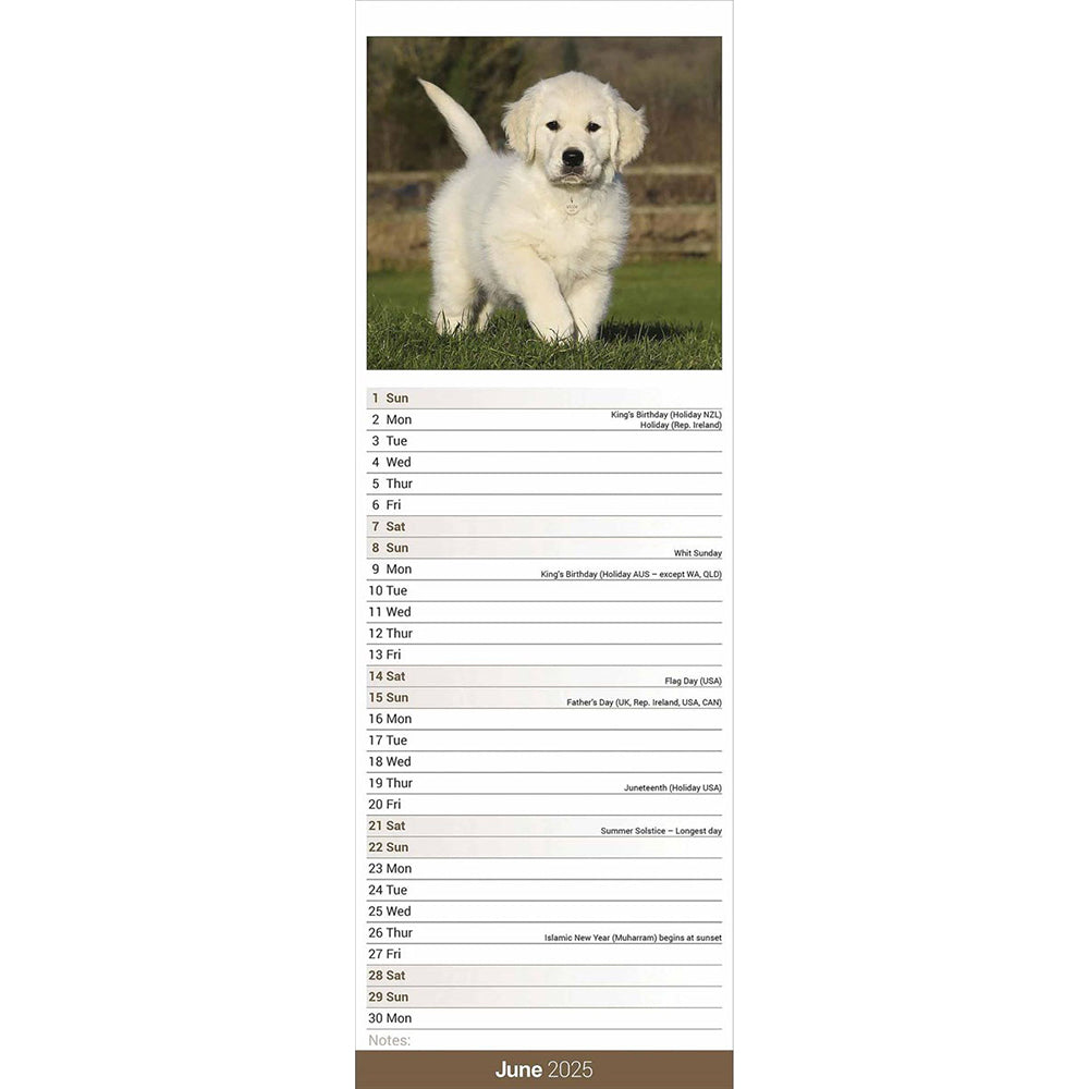 Golden Retriever 2025 slim calendar