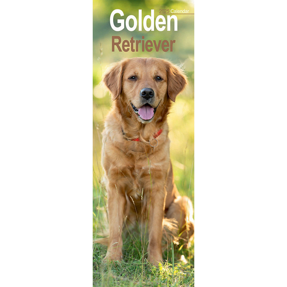 The front cover of the calendar featuring a Golden Retriever sat in a sunny field