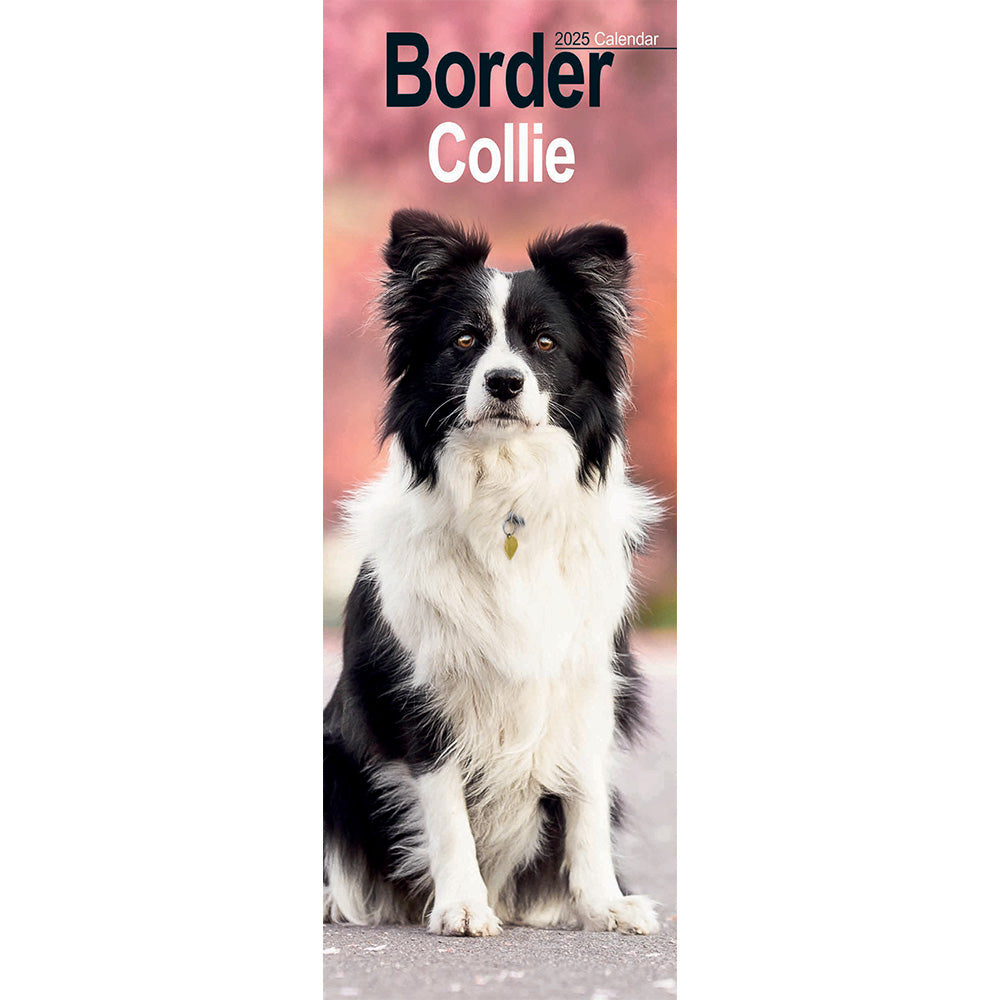 The front cover of the calendar featuring a Border Collie sat on pavement with a pink floral background