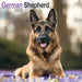 The front cover of the calendar featuring a German Shepherd laying in a field of purple flowers