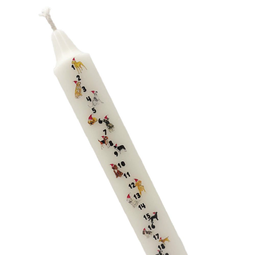 A white advent candle with numbers 1 to 24 down the front and small illustrations of different dog breeds.