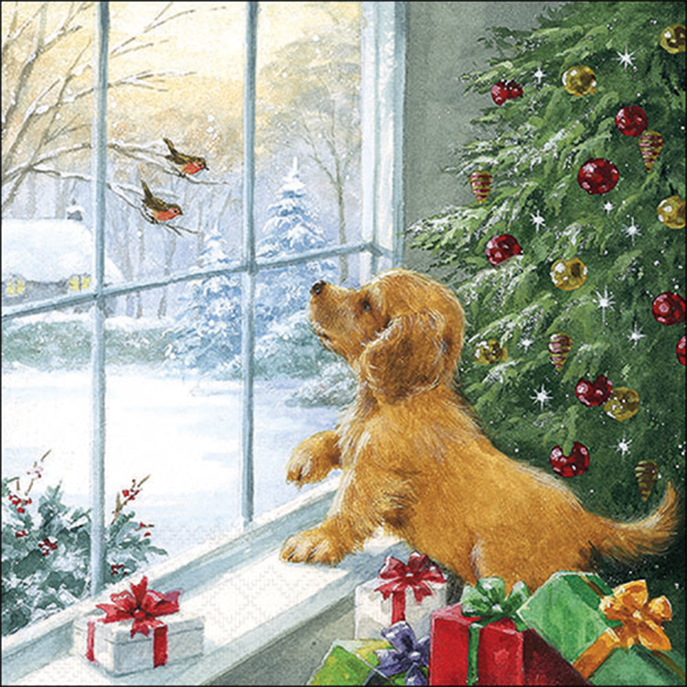 Puppy in the window Christmas napkins