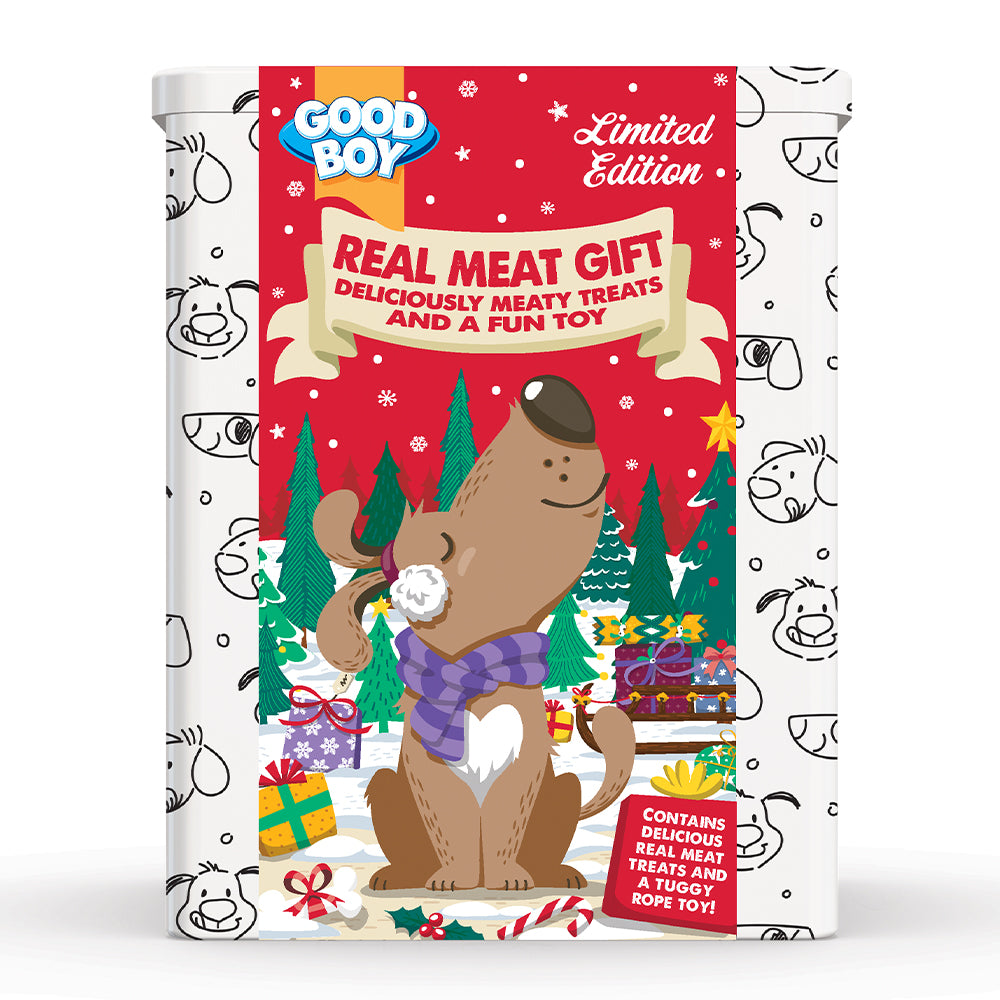 Festive dog treats gift tin