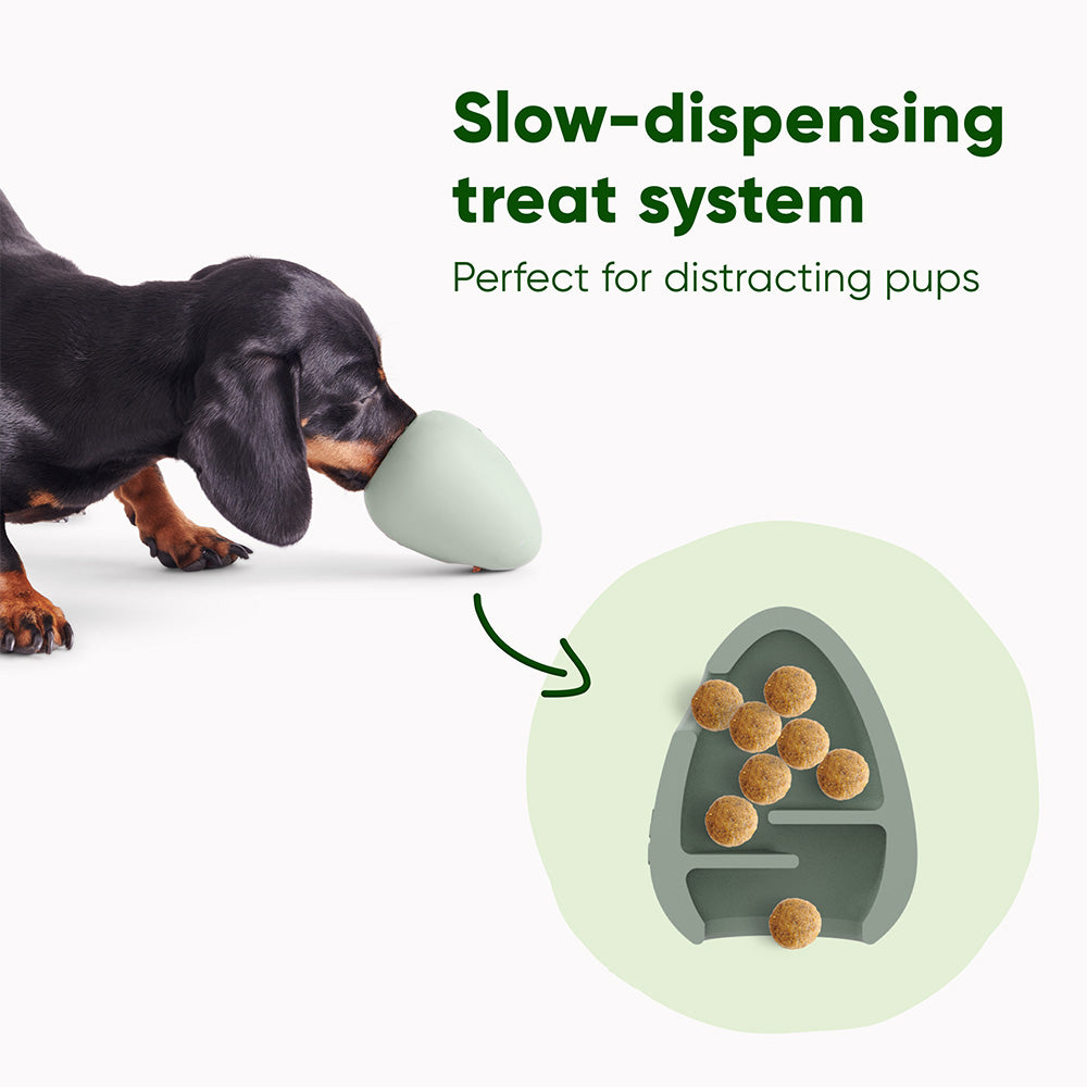 A dog has its nose in a green rubber toy filled with treats. There is an arrow pointing from the toy to an illustration of the inside of the toy. The illustration shows it has a slow-dispensing treat system.