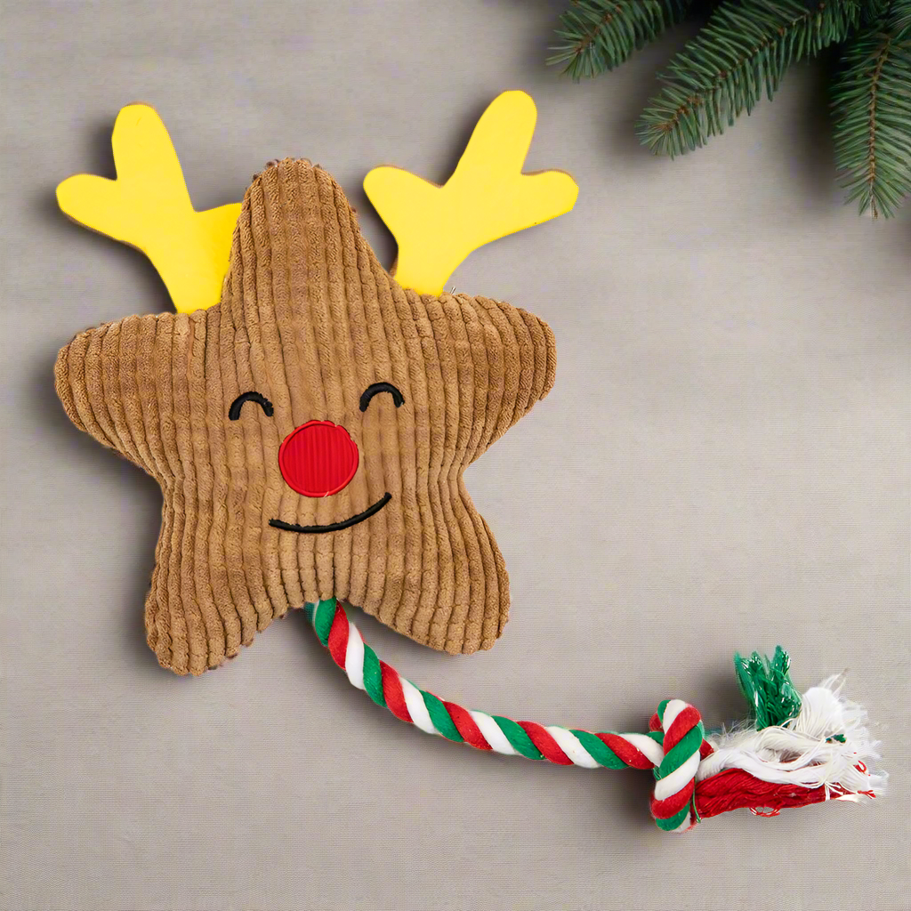 A brown star shaped dog toy with antlers and a red nose. It has a green, red and white rope.