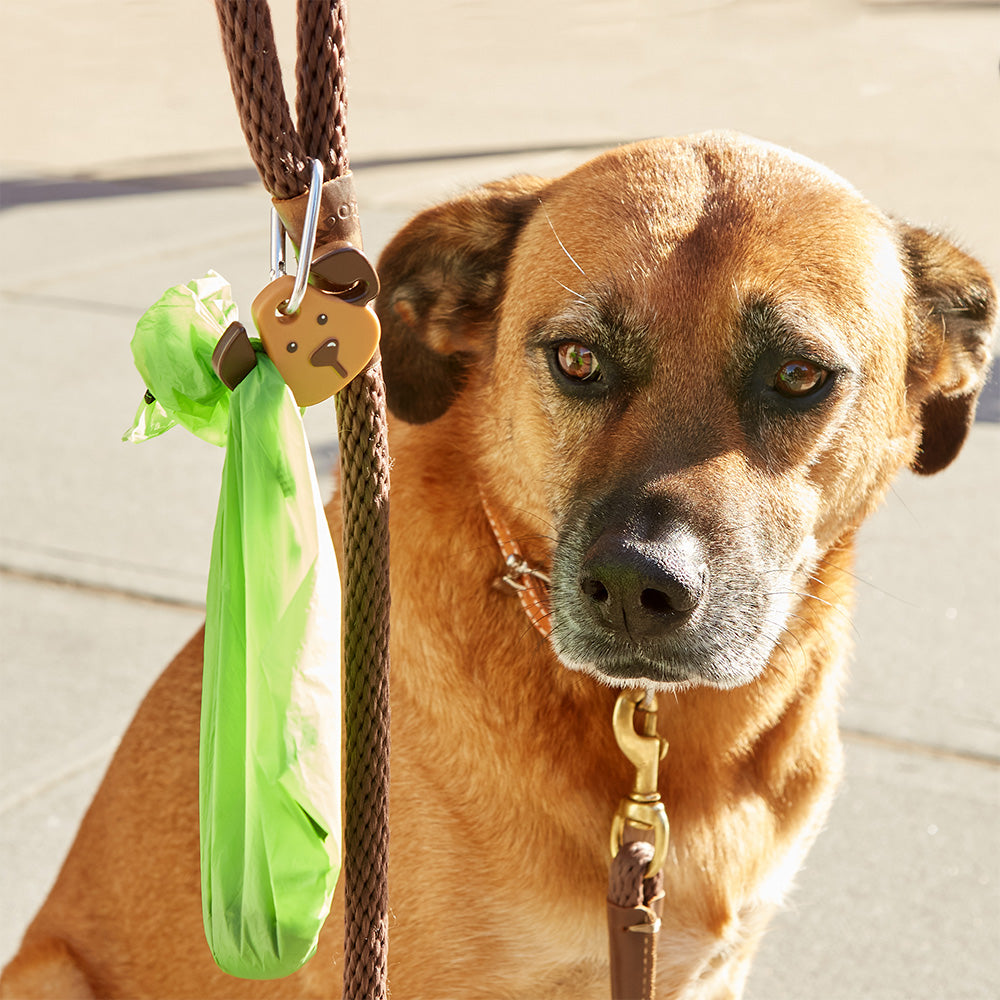 Carabiner LED dog light