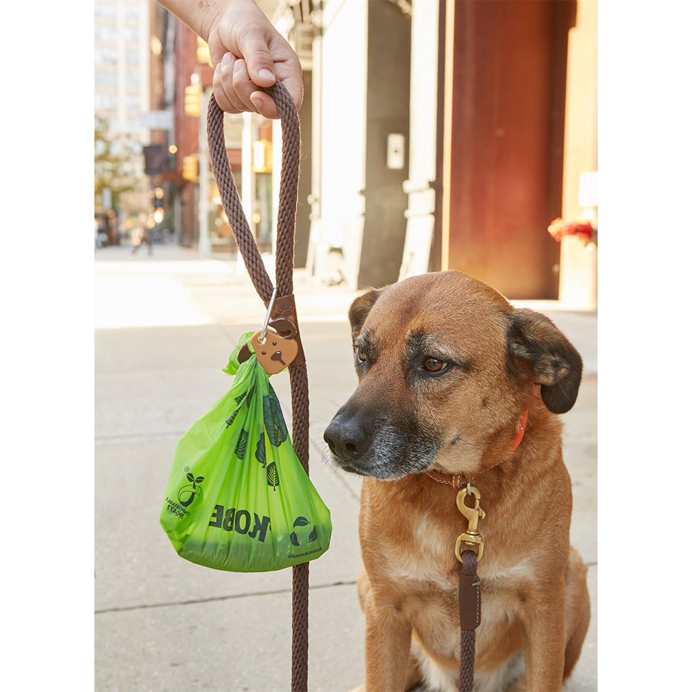 Carabiner LED dog light