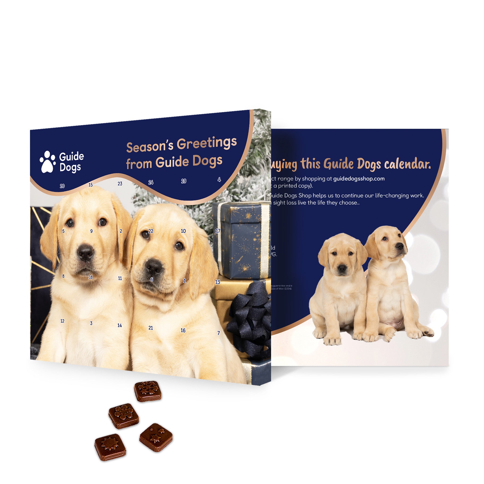 Guide Dogs Chocolate Advent Calendar