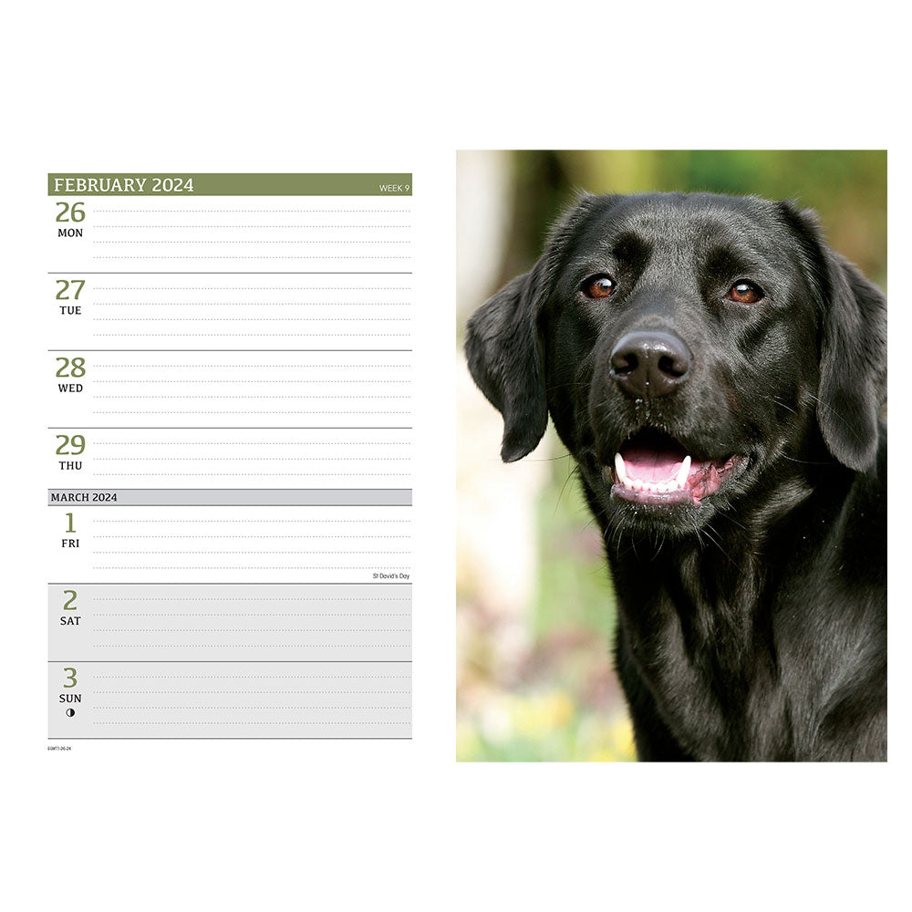 The inside of the Black Labrador Engagement Diary.