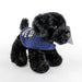 A close up of a Black Labrador cuddly toy with a blue Guide Dogs coat on.