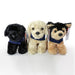 A group shot of a Black Labrador, Yellow Labrador and German Shepherd cuddly toys with blue Guide Dogs coats on.