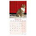 A photo of a Tabby cat accompanies the month of February.