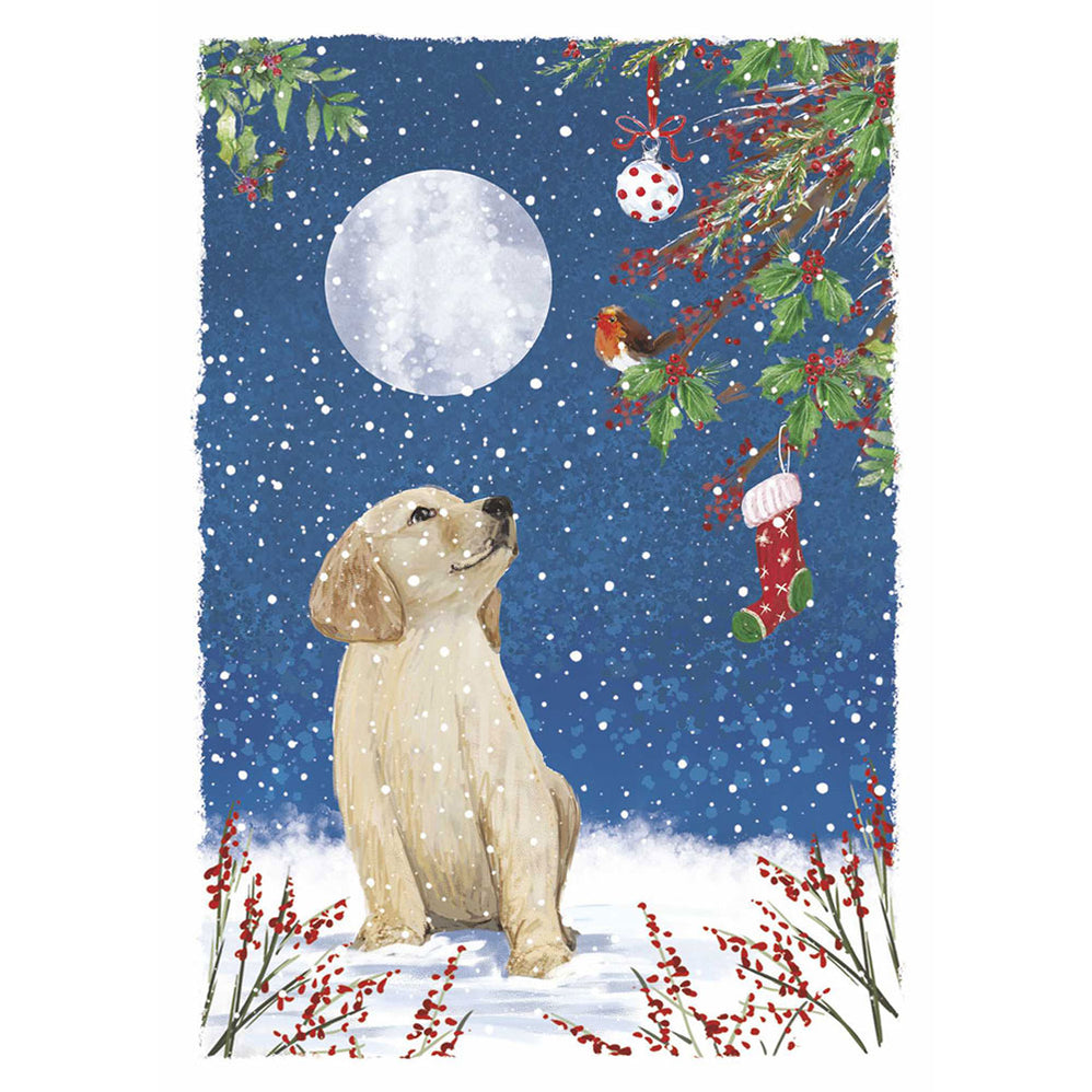 Charity Christmas Cards Guide Dogs Shop