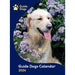 Front cover for the Guide Dogs 2024 Calendar. A Golden Labrador Retreiver is sitting in between daisies.