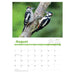 A photo of two Woodpeckers above a calendar grid of the month of August.