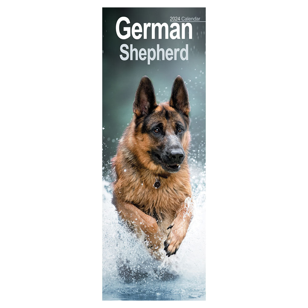 A German Shepherd bounds through the water.