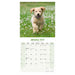 A photo of a Golden Retriever puppy playing in the grass accompanies the month of January.