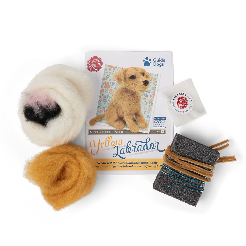 Labrador kit contents including felt,  needles and sponge