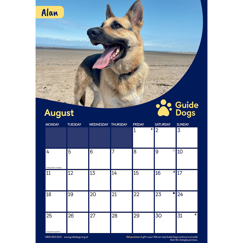 Alan the German Shepherd is on the beach for August's image