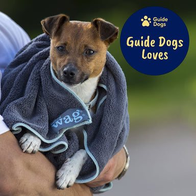 Golden Labrador Upcycled Leather Keyring — Guide Dogs Shop