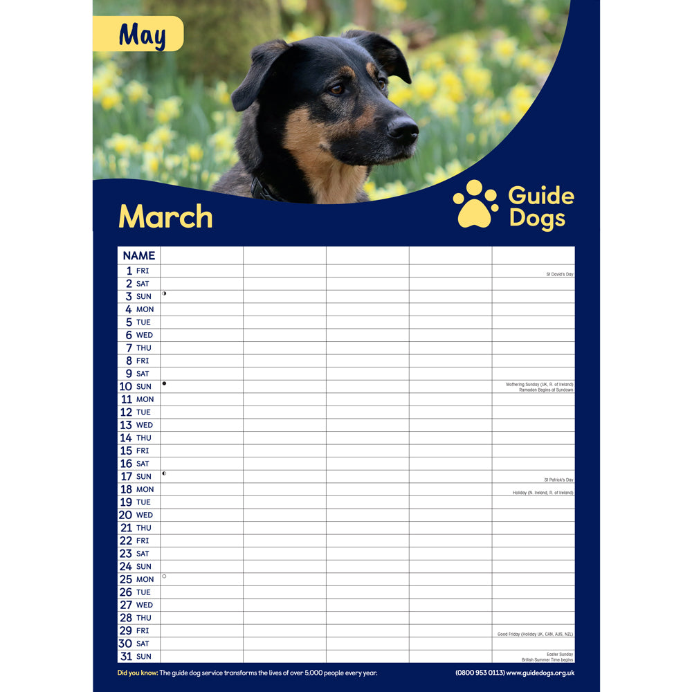 The inside of the Guide Dogs 2024 A3 Family Organiser. A German Shepherd is pictured amongst daffodils for the month of March.
