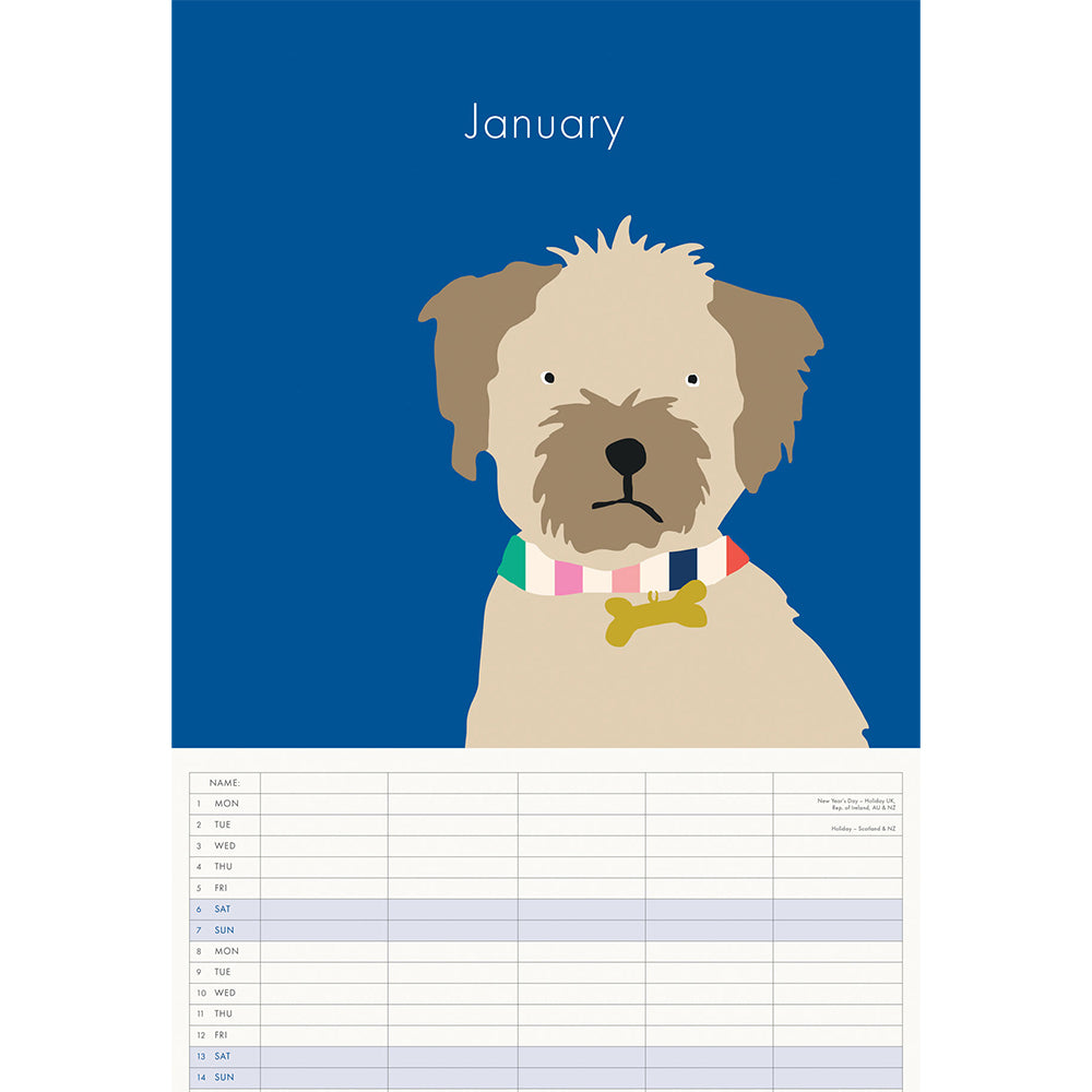 The inside of the Joules Dog Portraits Family Calendar 2024. A dog captured in Joules' artistic style is set against a blue background for the month of January.