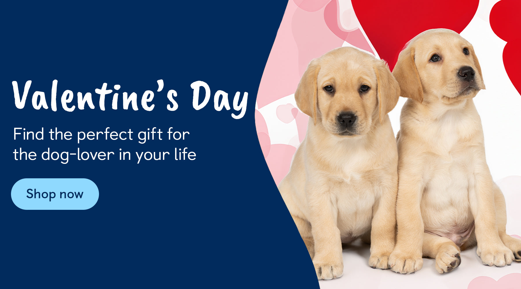 Two yellow Labrador puppies sat close together. There is a block of text with the heading Valentine’s Day and subheading Find the perfect gift for the dog-lover in your life. There is an ask to shop now via the Valentine’s Day category.