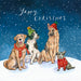 An illustration of a Yellow Labrador wearing a red scarf, Border Collie in a green woolly hat, German Shepherd in a red woolly hat and a much smaller shaggy dog wearing a red jumper, all sat side by side in the snow. The words ‘Yappy Christmas’ appears above them in white, against the night sky background.