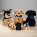 A group of three small and three  large soft toy dogs