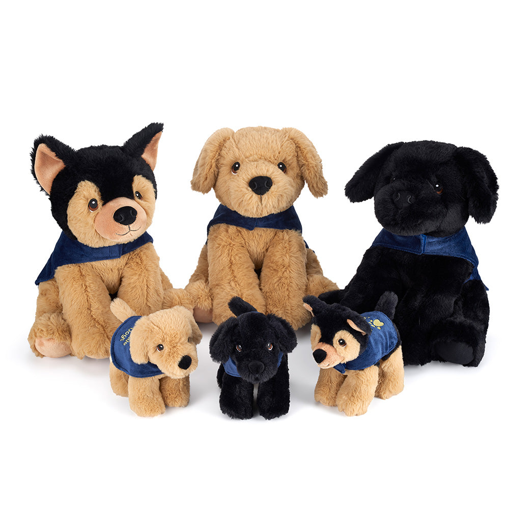 A group shot of both large and small versions of the black Labrador, yellow Labrador and German Shepherd cuddly toys. All have blue Guide Dogs coats on.