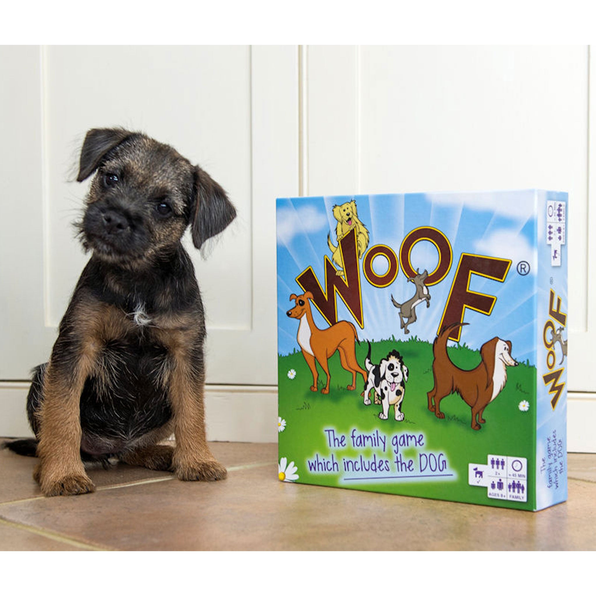 A lifestyle image of a dog sat next to the Woof board game.