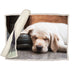 A cream blanket with an image of a Yellow Labrador sleeping on the floor on one side is rolled out. 