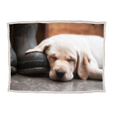 A cream blanket with an image of a Yellow Labrador sleeping on the floor on one side is rolled out.