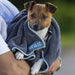A dog, wrapped in a blue towel, is being carried in a mans arms.