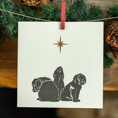 A square white card with 3 black puppies and gold star hangs by a red peg from a mantelpiece
