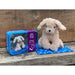 An outdoor image of the puppy in a tin successfully sewn together and resting on a blanket beside its blue gift tin.