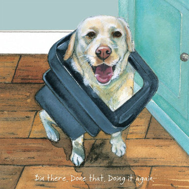 A greetings card featuring the drawing of a pleased Labrador wearing a bin lid. The words "Bin There. Done that. Doing it again." is displayed at the bottom.